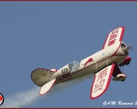 TSR Watermark - 0533